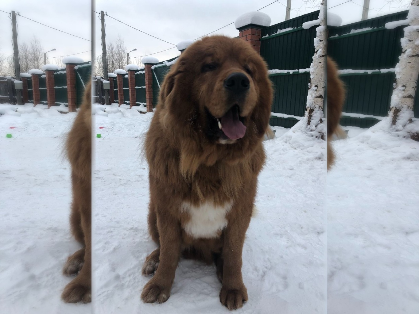 Snow Day Smiles
